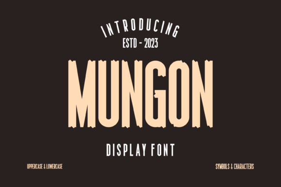 Mungon: A Distinctive Display Font for Digital Branding
